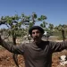 Israel Orders Seizure of Palestinian Land in West Bank to Expand Settler Road