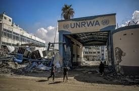 Pro-Israel Campaign Pressured Germany to Defund UNRWA